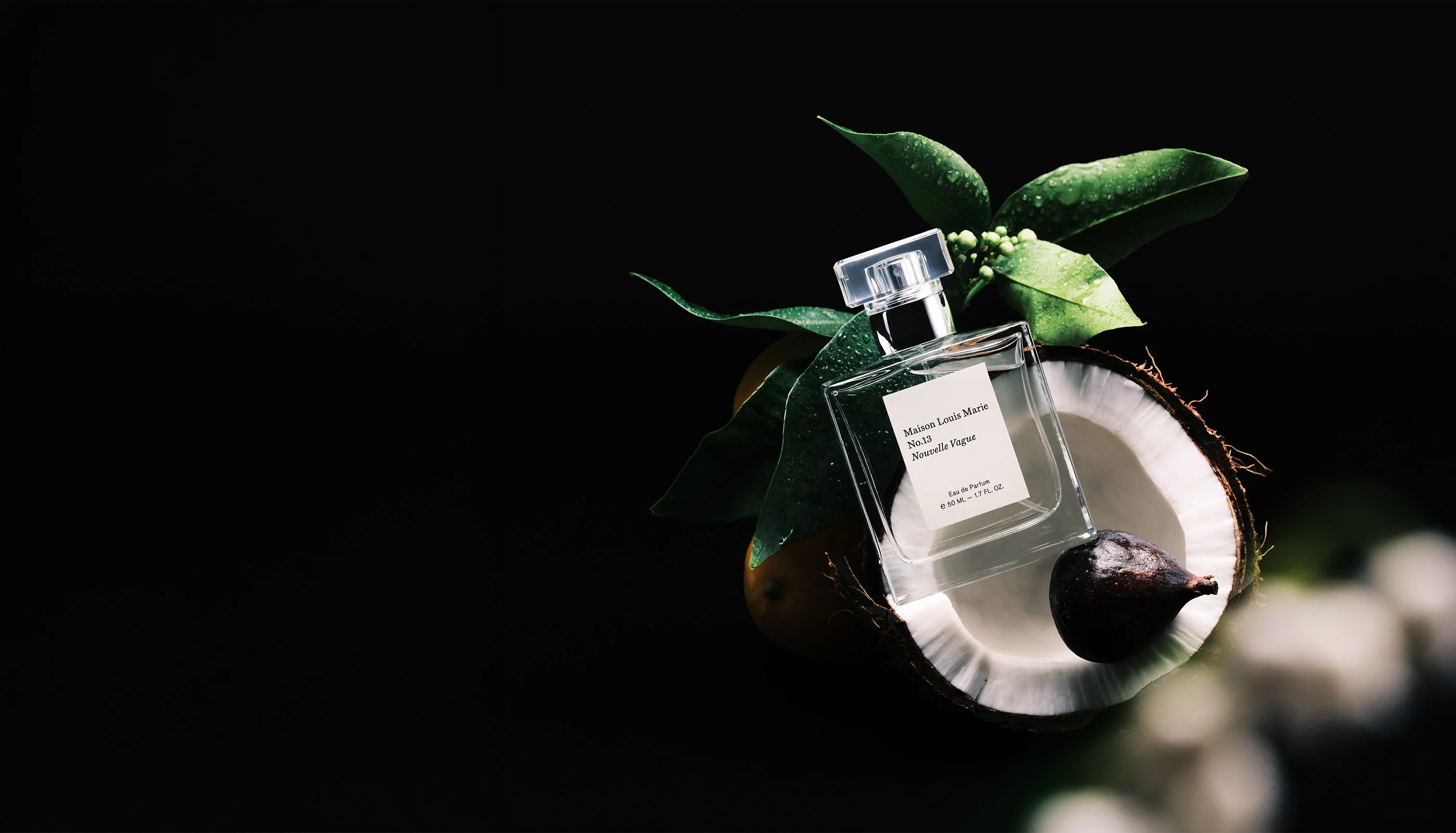Timeless Scents, Rooted in Nature